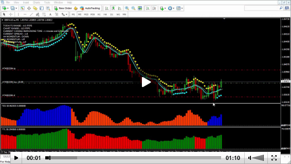 5 m 15 m or 1h for forex trading